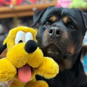 Meet your Posher, 莽